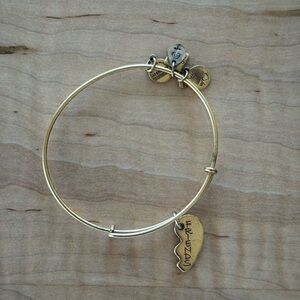 Alex and Ani Gold Friendship Bracelet
